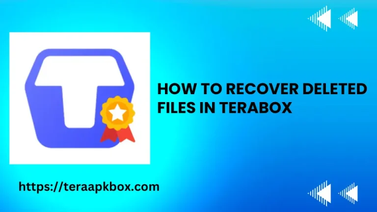 How to Recover Deleted Files in TeraBox